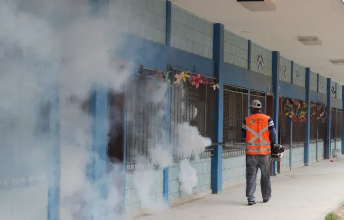 Se han intervenido unas 150 escuelas realizando trabajos de barrido. De este total, un 50% presenta casos de dengue.