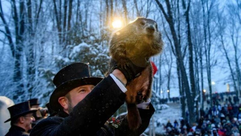 Día de la Marmota