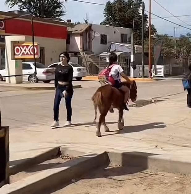 Niña en pony