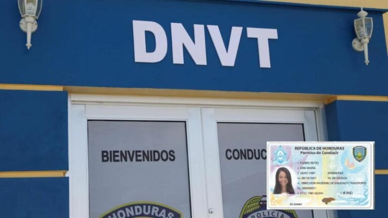 venta de licencias de conducir