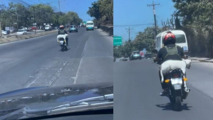 hombre lleva a perro de copiloto