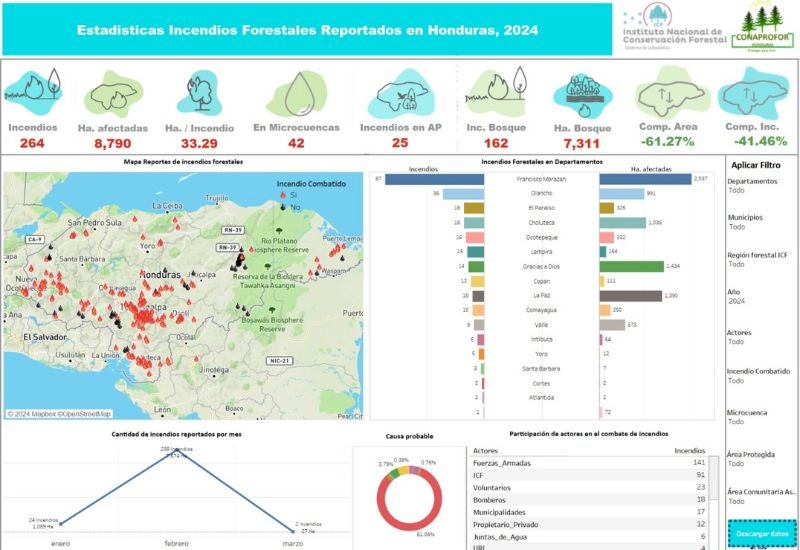 incendios forestales 2024