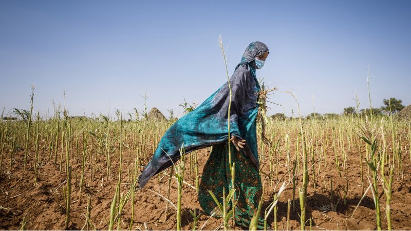 Las mujeres y los pobres en el campo son los más afectados por el cambio climático, según la FAO