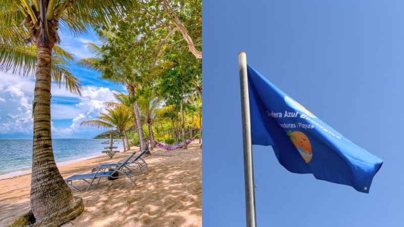 Camp Bay recibe Bandera Azul