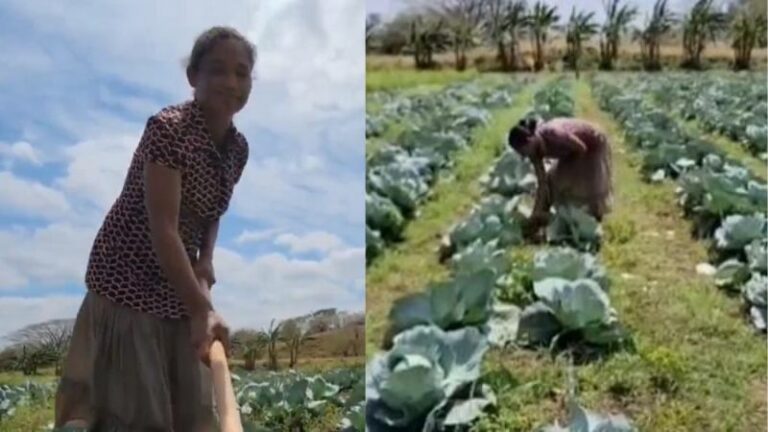 Campesina hondureña en producción agrícola