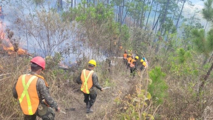 incendios forestales en Honduras 2024