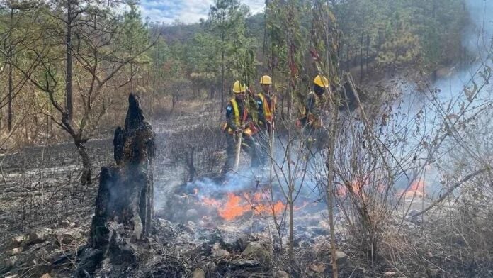 incendios en el Distrito Central