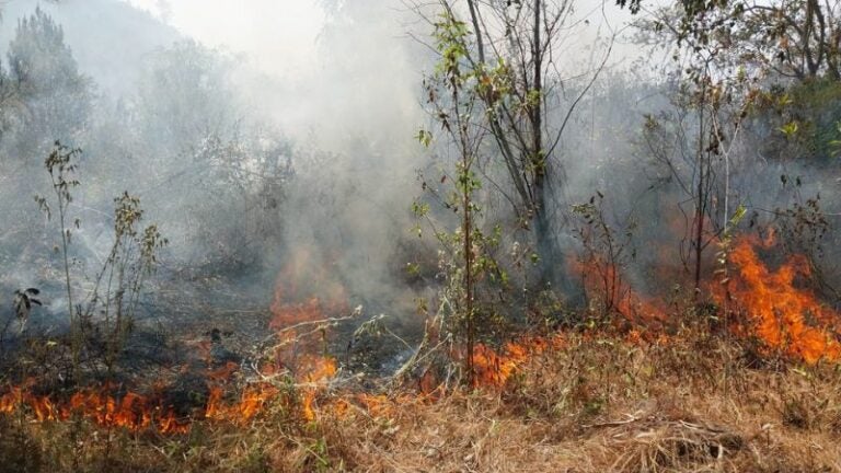 Se reactiva incendio en zona de La Tigra