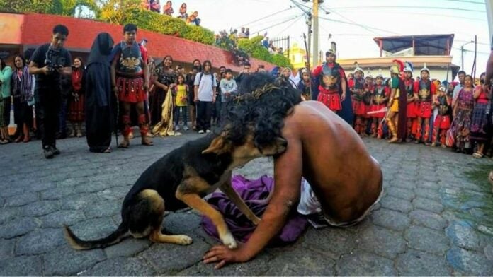 Perrito consuela Jesús viacrucis