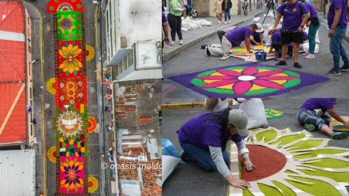 Alfombras de aserrín Tegucigalpa