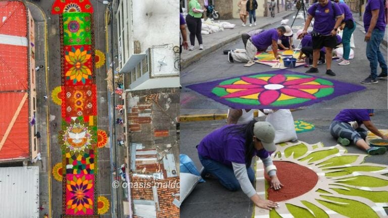 Alfombras de aserrín Tegucigalpa