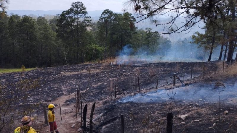 Incendios forestales en Semana Santa 2024 en Honduras