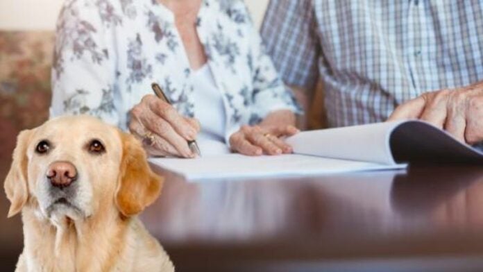 Mujer deja herencia de más de 2 millones de dólares a sus mascotas