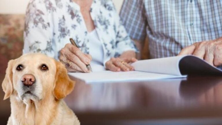 Mujer deja herencia de más de 2 millones de dólares a sus mascotas