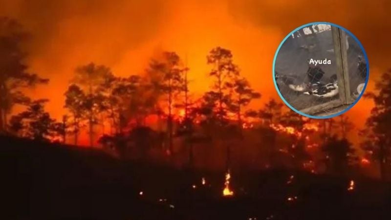 Entre lágrimas habitantes de La Tigra abandonan sus viviendas por voraz incendio