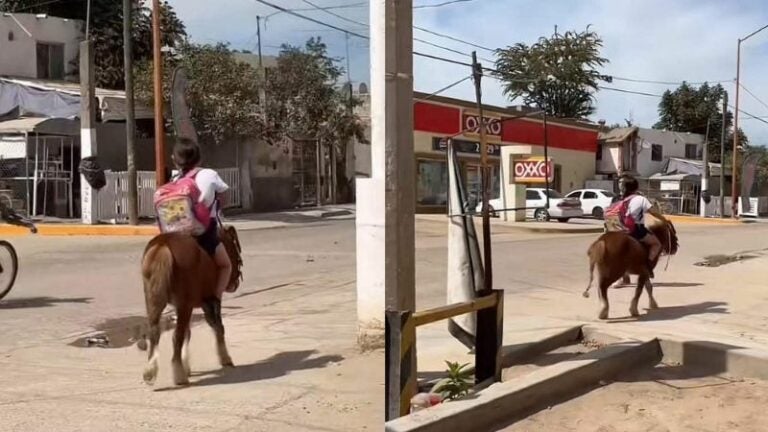 Niña en un poni