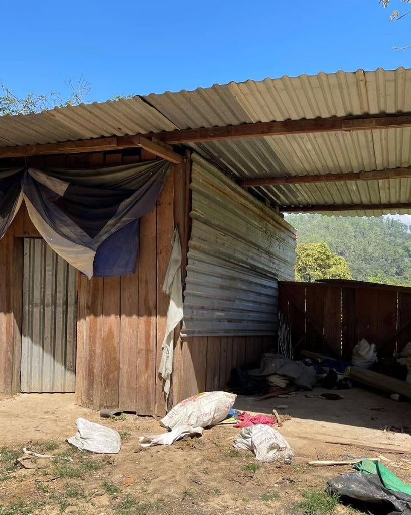 Aseguran hojas de coca en Santa Bárbara
