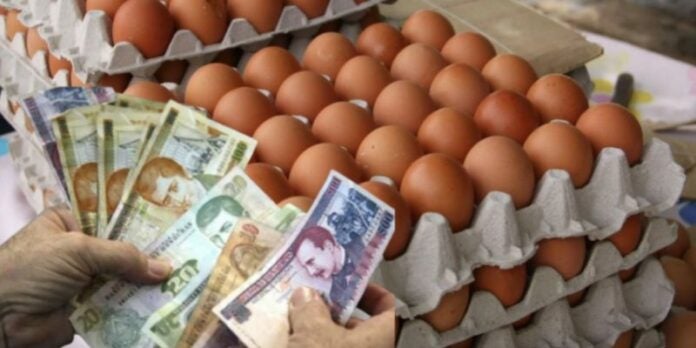 Reportan incremento al cartón de huevos en el mercado San Pablo de TGU