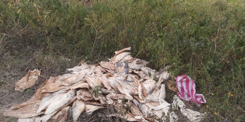 Lanzan al menos 100 libras de pescado seco en mal estado cerca del Lago de Yojoa