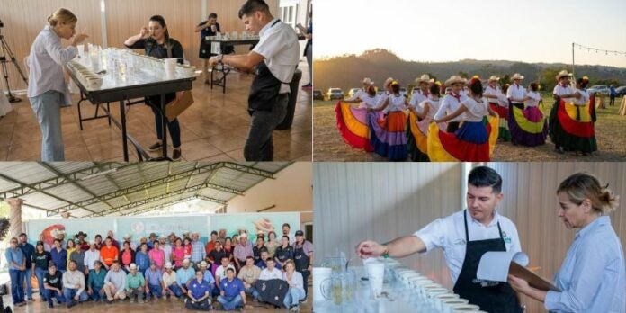 Producción de cafés especiales en festival