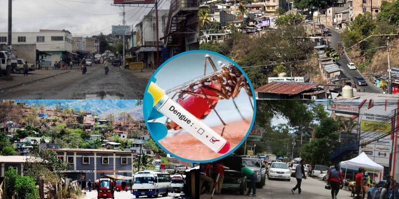 Colonias capitalinas con mayor incidencia por dengue