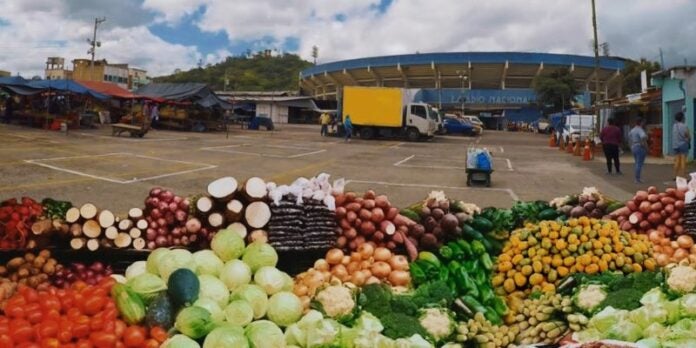 Estos son los horarios de la feria del agricultor en TGU durante esta Semana Santa