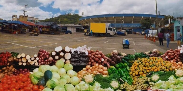 Estos son los horarios de la feria del agricultor en TGU durante esta Semana Santa