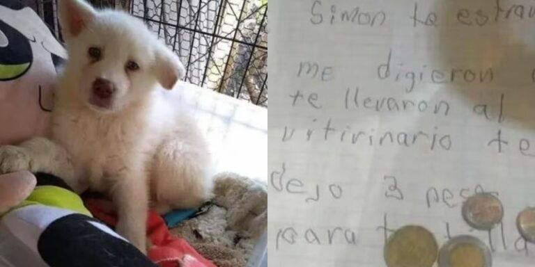 «Cuando crezca vendré por él»: Niño deja su perro en un refugio con conmovedora carta