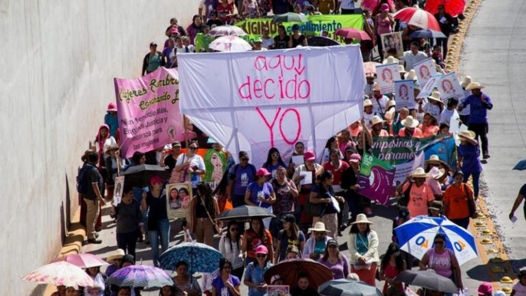 Ley de Violencias contra la Mujer