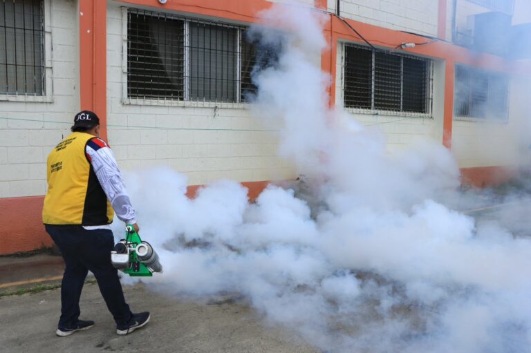 Conozca las colonias de SPS donde fumigarán esta semana para prevenir el dengue