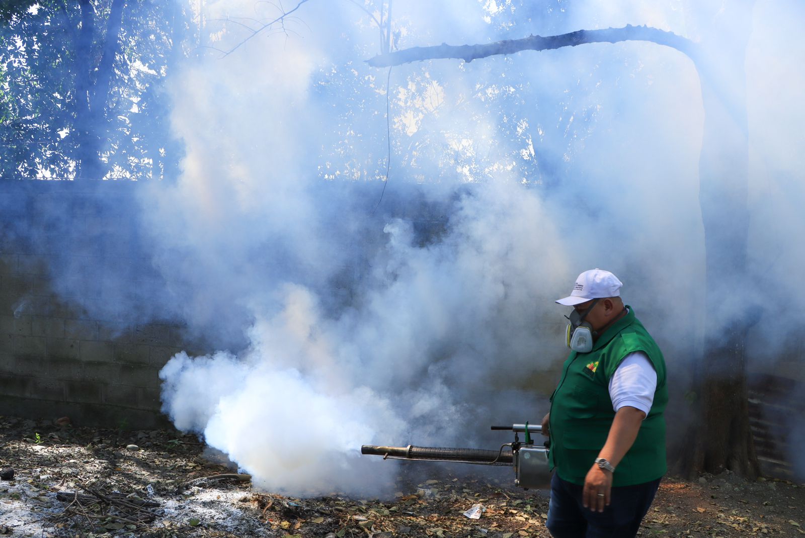 Criaderos de zancudos eliminados en SPS