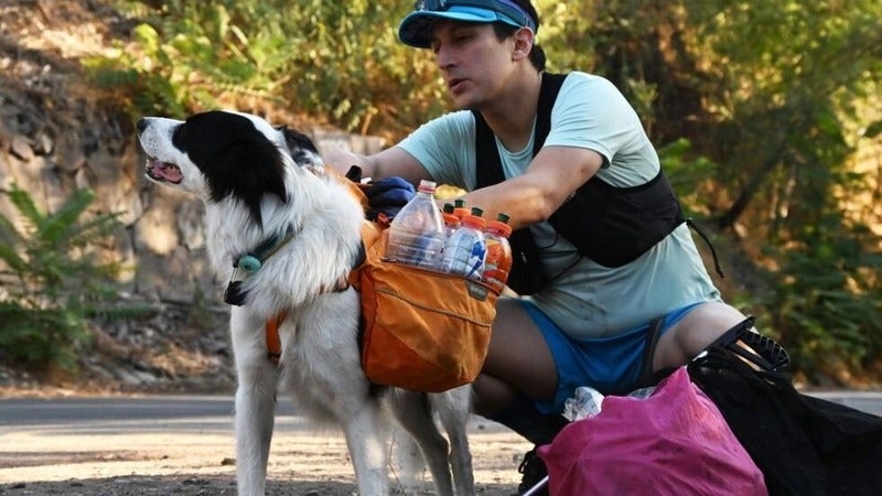 abogado perro plogging reciclaje en Chile