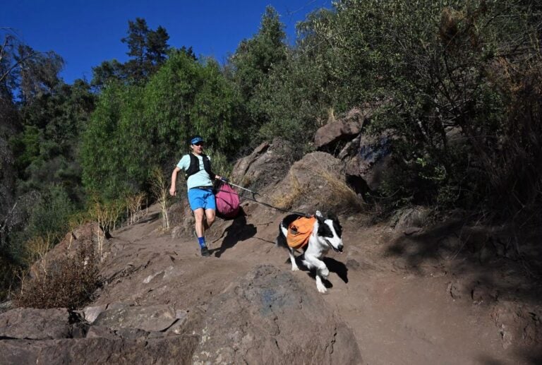 Abogado y su perro impulsan el plogging