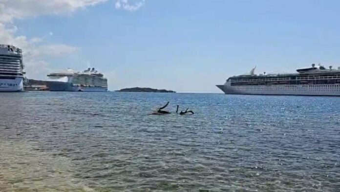 Cruceros en Roatán