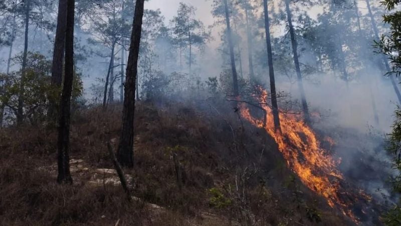Incendios forestales 