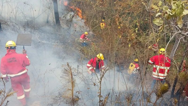 Control incendios 