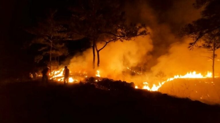 Afectación hectáreas incendios 2024