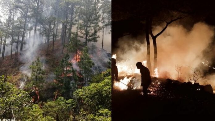 ICF hectáreas afectadas incendios