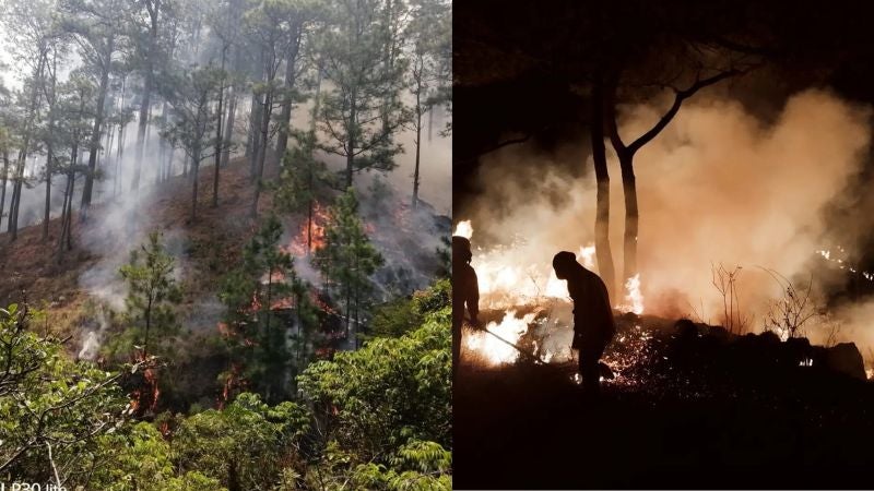 ICF hectáreas afectadas incendios