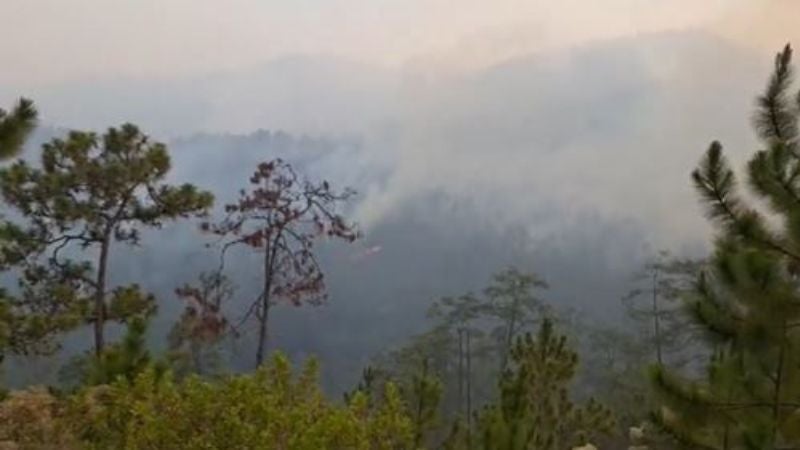 Incendio forestal consume centenares de hectáreas en Intibucá