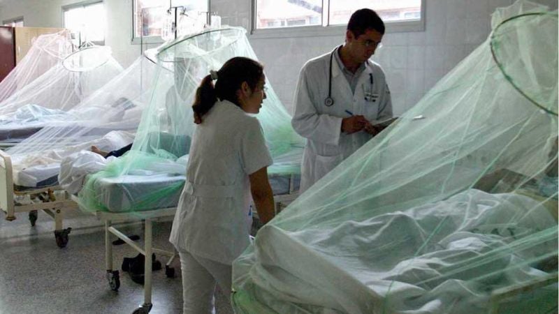 Registran 200 casos semanales por dengue en SPS, pese a leve disminución