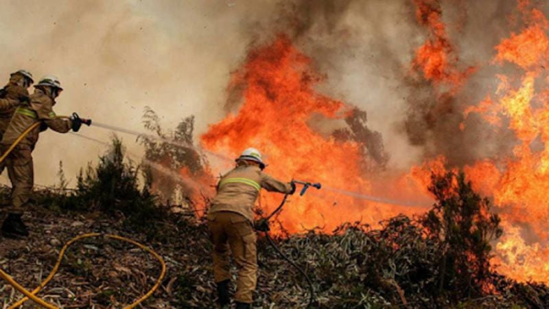 Los incendios forestales afectan más de 109 mil hectáreas en Honduras