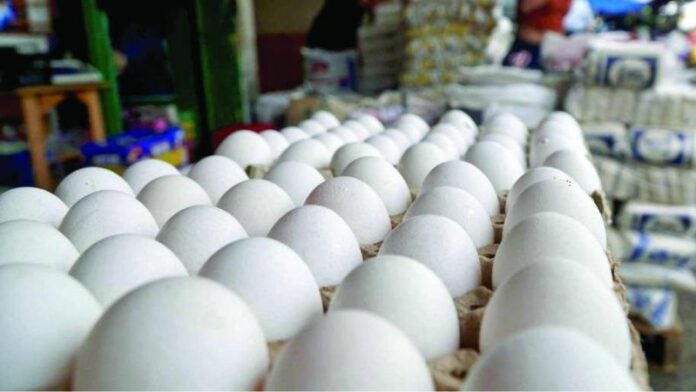 Baja L5 el cartón de huevos en el mercado El Dandy de SPS