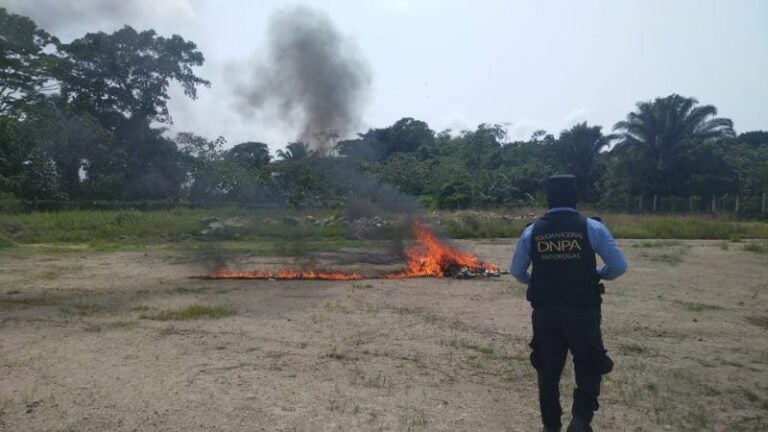 Incineran cocaína marihuana Cortés