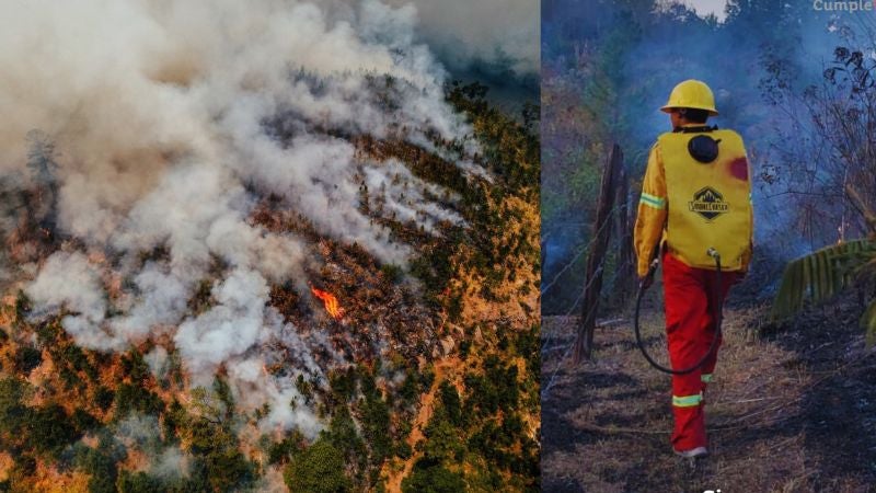 Incendios forestales han afectado 123 mil hectáreas de bosque 123 mil en Honduras