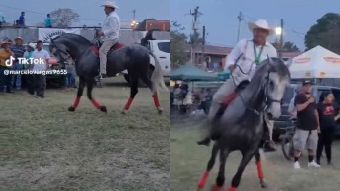 Diputado de Libre se cae de un caballo