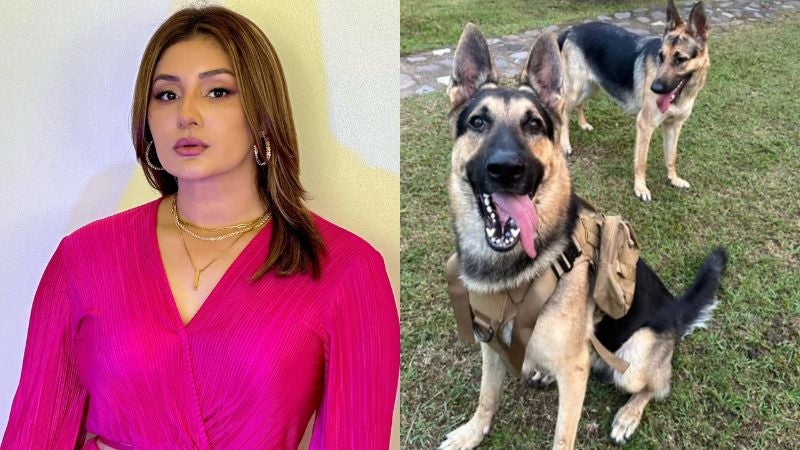 Rina Leal pierde sus perros