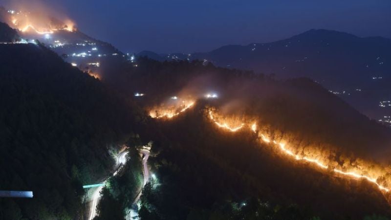 Incendio en el Himalaya de India
