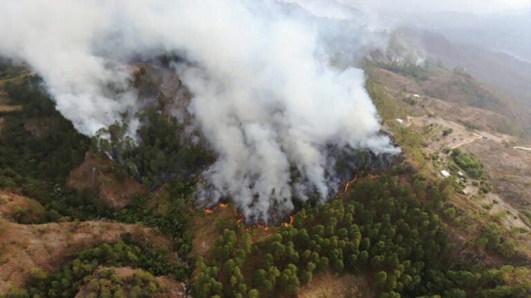 Incendios forestales