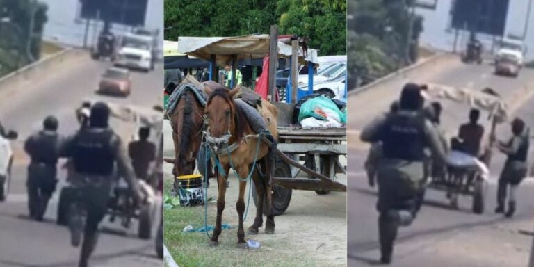 Video: Militares persiguen a "pata" a un joven que estaba maltratando a un caballo en SPS